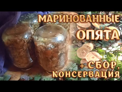 Видео: Маринованные грибы для хранения при комнатной температуре, без пастеризации+сбор