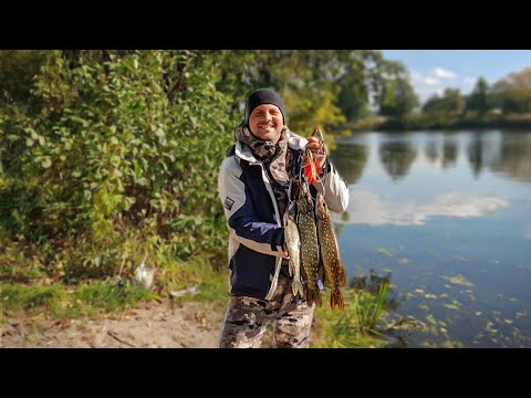 Видео: Рыбалка на реке Мухавец . Успеваем и рыбы наловить и детям время уделить !