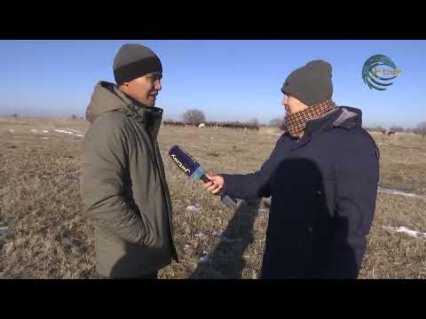 Видео: ЕЛ мен ЖЕР / 12.01.2024
