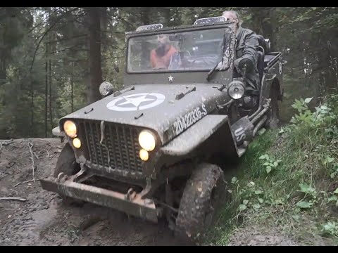 Видео: Willys Jam. Ford GPW Off Road в  Хотьково_Off Road at Hot'kovo forest. Sept. 2023