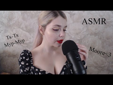 Видео: 😽 АСМР Близкий шепот для сна и таппинг/ Звуки Тк-Тк Мур-мур / ASMR Close Whisper/ Tk-tk for Sleep 😴