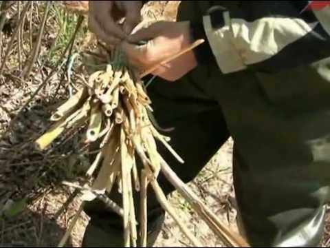 Видео: Хищник не спортивно. Удочка и шмат