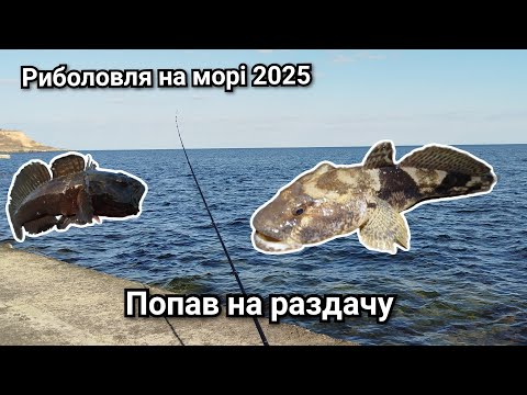 Видео: Клюют один за другим. Попал на раздачу на море. Лов бычков весной.