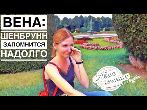 Видео: Вена Дворец Шёнбрунн | Дом Штруделя в Вене | Шёнбруннский зоопарк | #Авиамания