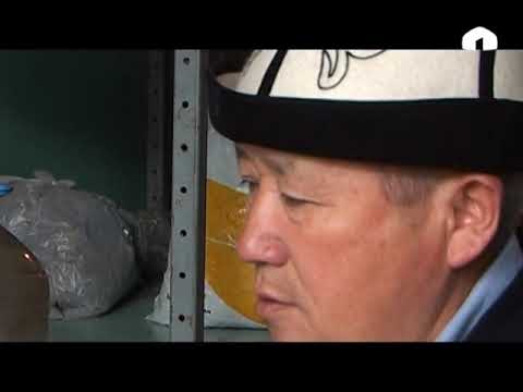 Видео: Атайын репортаж: Дары чөптөрдүн касиети