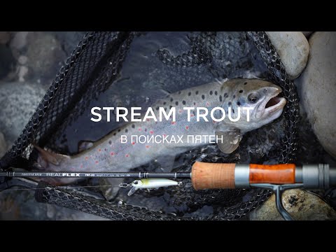 Видео: Stream Trout. Ловля дикой форели в горной реке. Smith RealFlex TRF-53