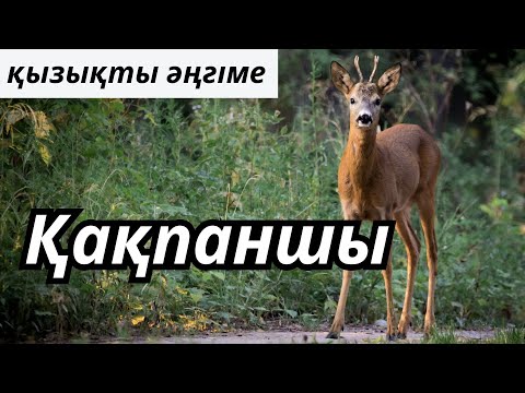 Видео: ҚАҚПАНШЫ | ӘҢГІМЕ