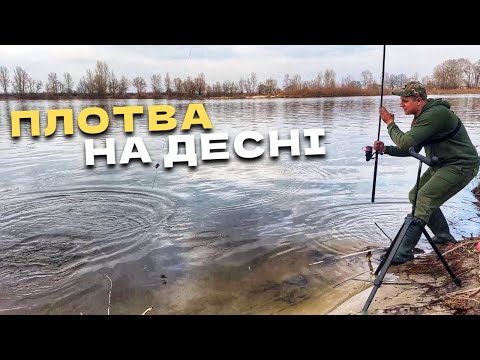 Видео: ХІД ПЛОТВИ НА ДЕСНІ! Фідерна рибалка 2025!
