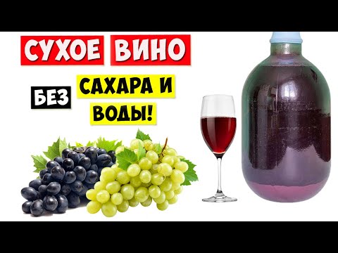 Видео: СУХОЕ ВИНО из ВИНОГРАДА без Сахара и Воды / Простой Рецепт!