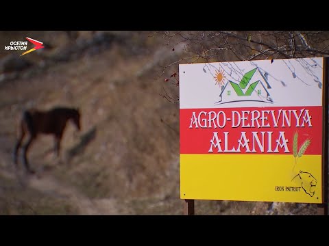 Видео: Агродеревня I Точка отсчёта