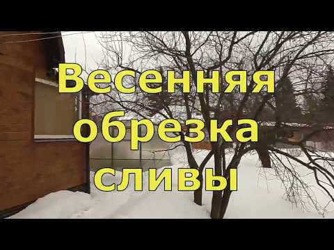 Видео: Весенняя обрезка