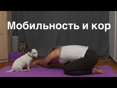 Видео: Гибкость всего тела, подвижность суставов и пресс