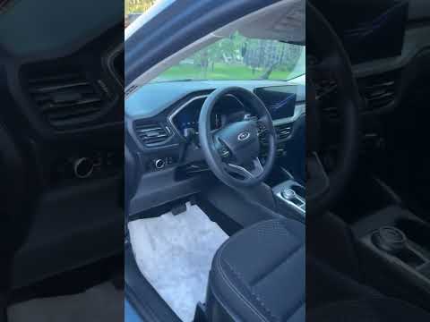 Видео: 22 сентября 2025 г.