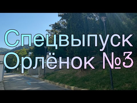 Видео: Спецвыпуск №3 | ВДЦ «Орлёнок» | «ТЭМ» и другие 💗