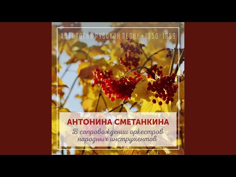 Видео: Вдоль по улице метелица метет