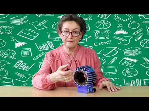 Видео: Практическая работа №3. Выполнение развернутой схемы обмотки статора.