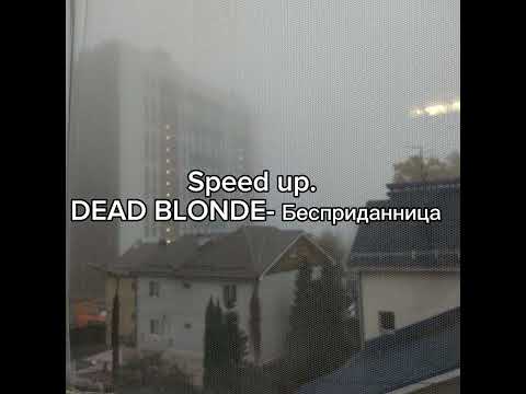 Видео: Speed up. DEAD BLONDE- Бесприданница