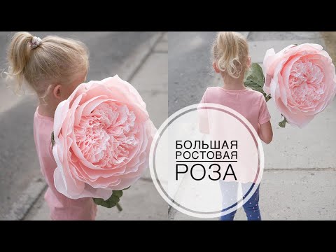 Видео: Large peony rose from 1 paper roll / Большая пионовидная роза из 1 рулона бумаги / DIY Tsvoric