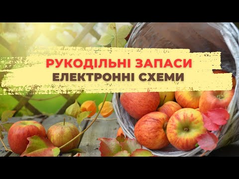 Видео: Мої електронні схеми для вишивки🍎Заглянемо разом в мої авторські схеми🍎