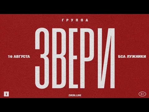 Видео: ЗВЕРИ. 25 ЛЕТ. ПОЛНЫЙ  КОНЦЕРТ. Б.С.А. ЛУЖНИКИ МОСКВА. 16 АВГУСТА 2025г @Vashsosedmeloman 