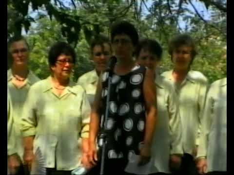 Видео: КВО СТАВА 360