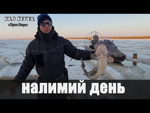 Видео: Налимий день. Рыбалка видео снятое на севере Красноярского края.