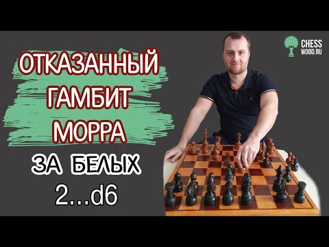 Видео: Отказанный гамбит Морра за белых с ходом черных 2...d6