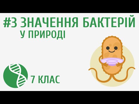 Видео: Значення бактерій у природі #3