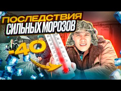 Видео: Последствия сильных морозов спасаем базу от мороза.
