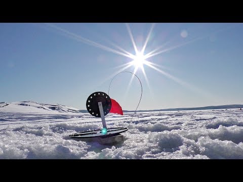 Видео: Как щуки на жерлицы нас дурили. Рыбалка на Талакане.  Pike pecks in winter.