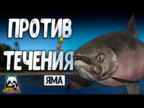 Видео: RF4 НУЖНО КРУТИТЬ ПРОТИВ ТЕЧЕНИЯ #рр4