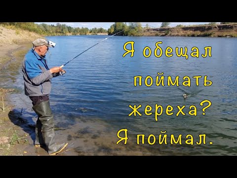 Видео: Береговой СПИННИНГ на АХТУБЕ. База "Пойма". Часть 2.