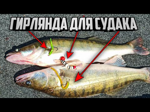 Видео: КОСИЛКА летнего СУДАКА, Ловля судака летом, Судак на джиг, Рыбалка на судака, Ловля судака мандулу