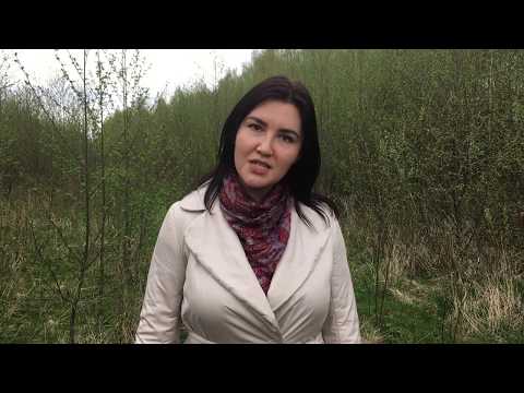 Видео: Так случилось - мужчины ушли