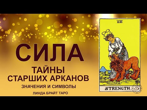 Видео: 💥Аркан СИЛА 🦁Энергия воли и приручение внутреннего зверя #таро #аркансила #картытаро #tarot
