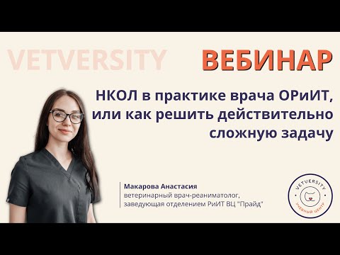 Видео: НКОЛ в практике врача ОРиИТ, или как решить действительно сложную задачу