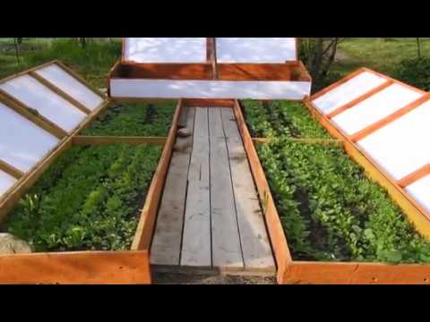 Видео: Н.И. Курдюмов - Уроки садоводства. Часть 1