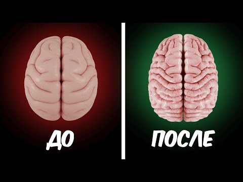 Видео: 7 простых упражнений, которые реально прокачивают мозг