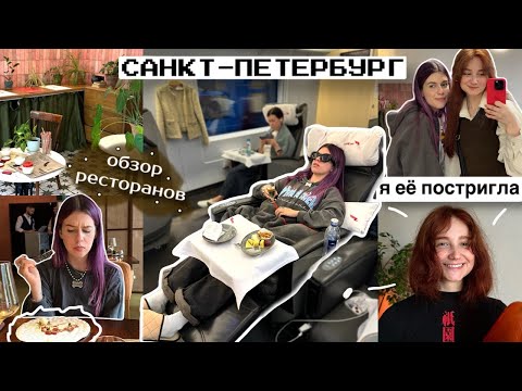 Видео: ВЛОГ ПИТЕР | Разборки в БАНЕ и настойки НА БОРЩЕ