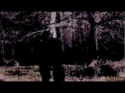 Видео: Stefan and Elena-Наказаны любовью ..