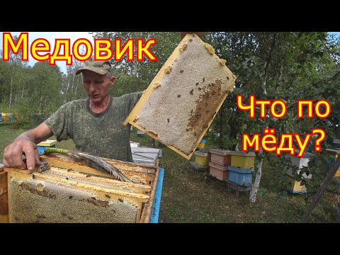 Видео: МЕДОВИК, ЧТО по МЁДУ!!! Первая качка мёда 2024г