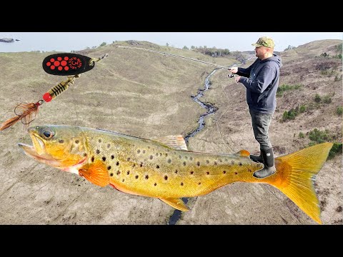 Видео: Ловля дикой форели спиннингом в Шотландии