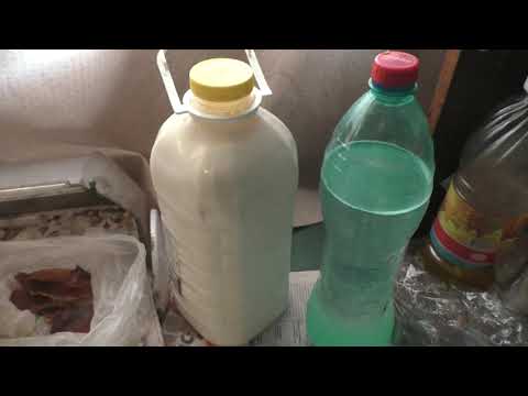 Видео: Утренние Божии дары на завтрак.  09. 05. 2022