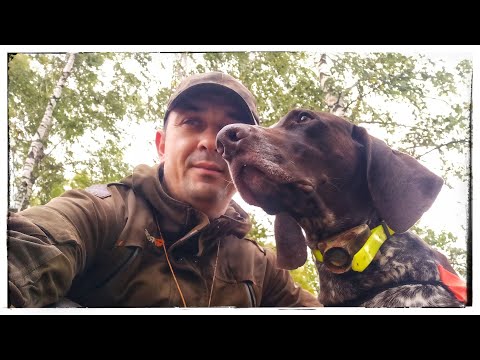 Видео: День тихой охоты! / Тест бипера для легавой