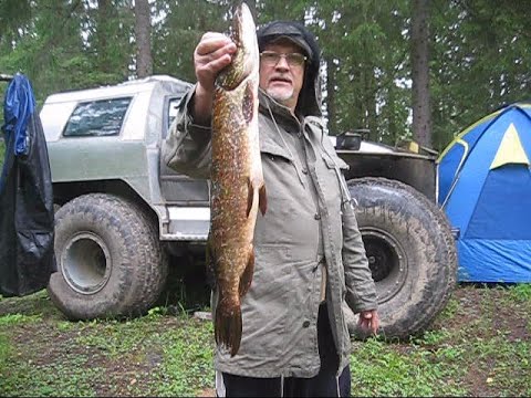 Видео: Вездеход Мангуст Кадет часть 13.     Боевое крещение, на рыбалку в Вепский лес.