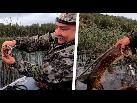 Видео: Рыбалка в Карелии на о Янисъярви