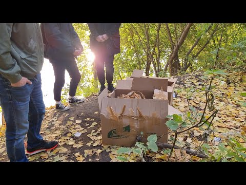 Видео: 😱Двенадцать кошек были найдены в коробках замотанных скотчем на обрыве озера. Их хотели утопить?! 😨😭