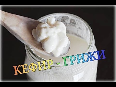 Видео: KEFIR /video in BG/  КЕФИР,  ГРИЖИ за него, РАЗДАВАНЕ и ЗАЩО го ползвам