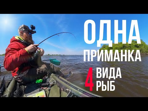 Видео: моя ЛУЧШАЯ ПРИМАНКА. Рыбалка на каяке Wilderness systems