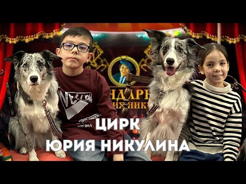 Видео: Сегодня мы побывали в легендарном Цирке Юрия Никулина! Клоуны, Воздушные гимнасты,собаки и балет! 